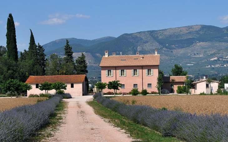 Country House Casco Dell'Acqua Trevi Exteriör bild