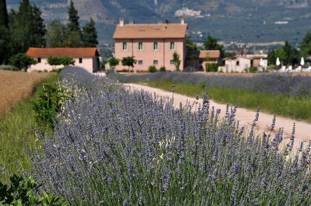 Country House Casco Dell'Acqua Trevi Exteriör bild
